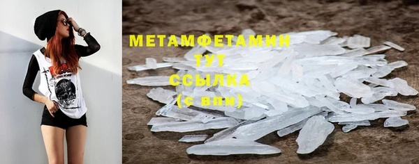 прущие грибы Наволоки