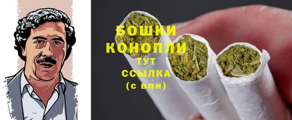 прущие грибы Наволоки