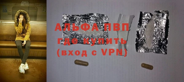 прущие грибы Наволоки