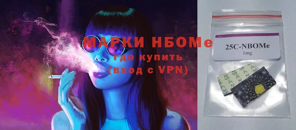 прущие грибы Наволоки