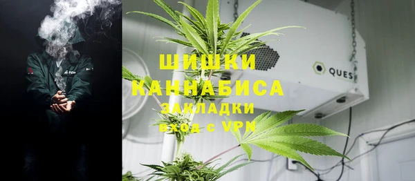 прущие грибы Наволоки