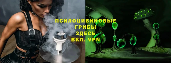 прущие грибы Наволоки
