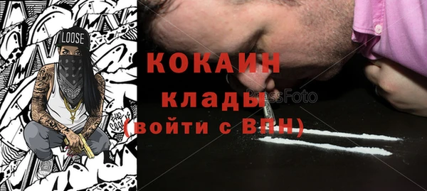 прущие грибы Наволоки