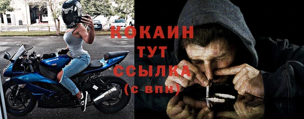 прущие грибы Наволоки